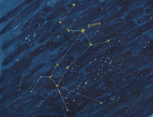 Constellation Grand Chien Argema Formation Chantal Olifirenko